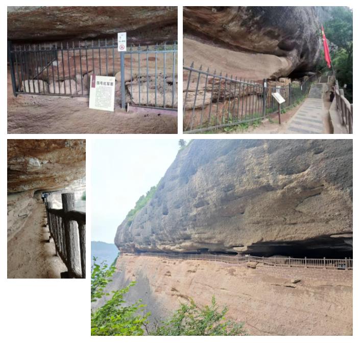 壹定发股份先进员工照金行