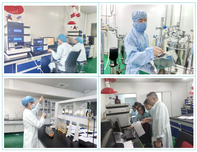 壹定发股份GMP符合性检查圆满结束