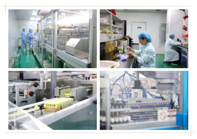 壹定发股份组织开展廉政专项培训