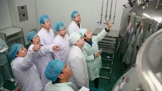 壹定发股份全面进行新版GMP认证自检