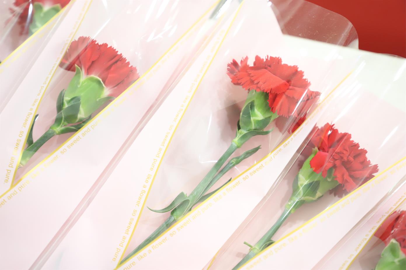 2022年壹定发股份母亲节观影活动