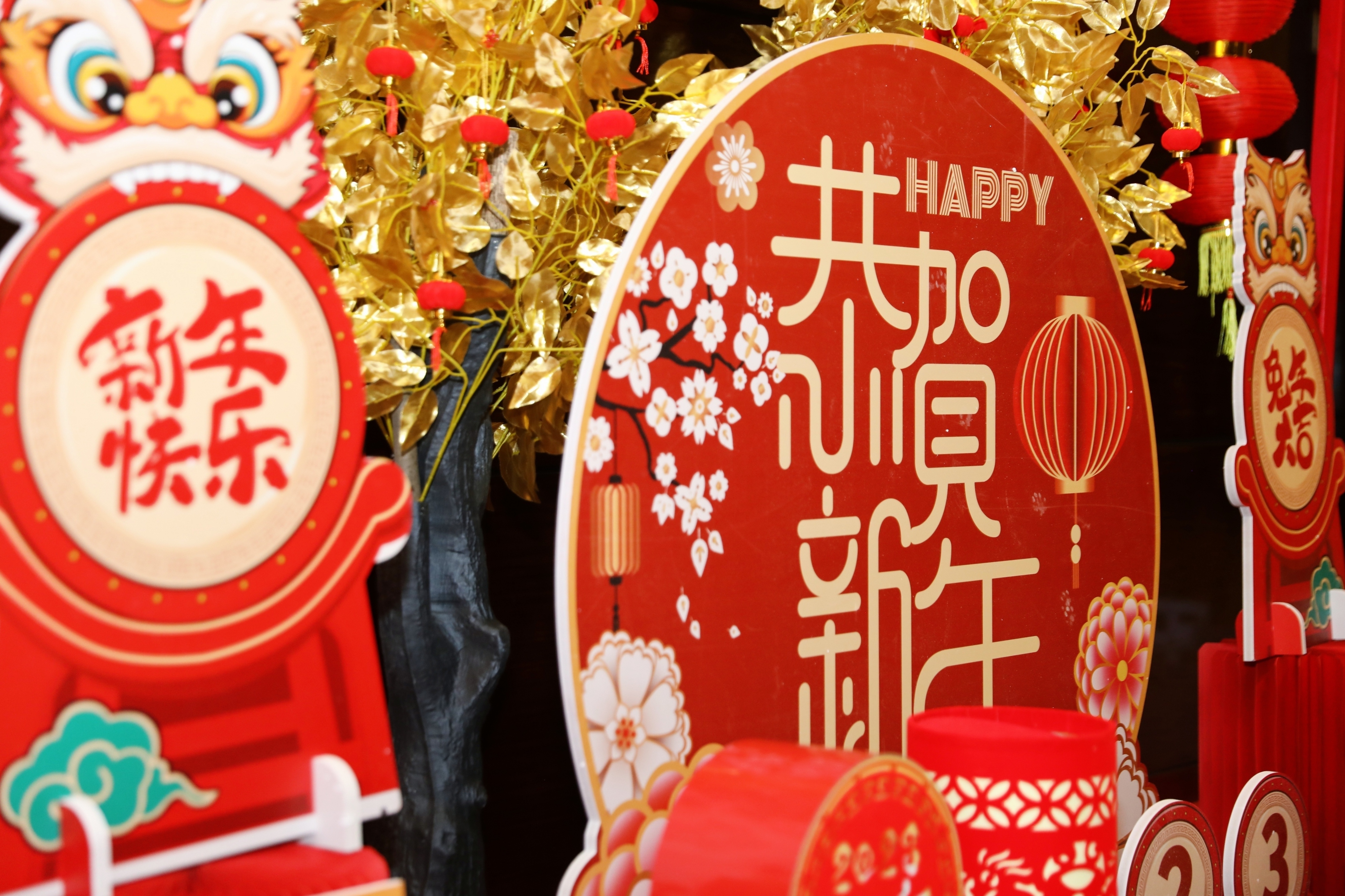 壹定发股份2023年年会